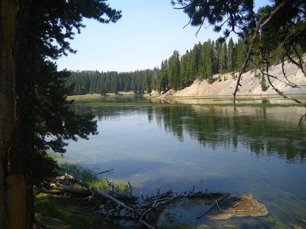 yellowstone national park wyoming etats-unis voyage aux usa en famille