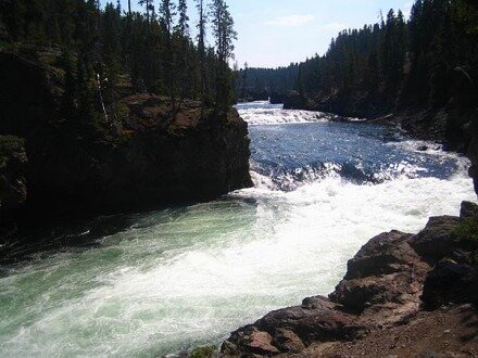 yellowstone national park wyoming etats-unis voyage aux usa en famille