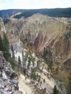 yellowstone national park wyoming etats-unis voyage aux usa en famille
