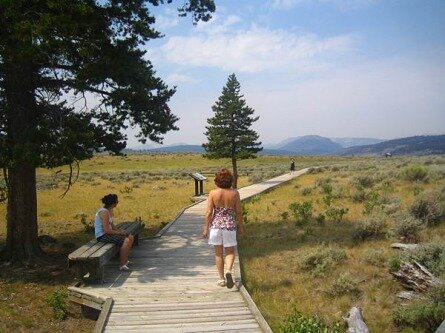 yellowstone national park wyoming etats-unis voyage aux usa en famille