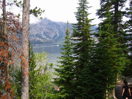 grand teton national park wyoming etats-unis voyage aux usa en famille