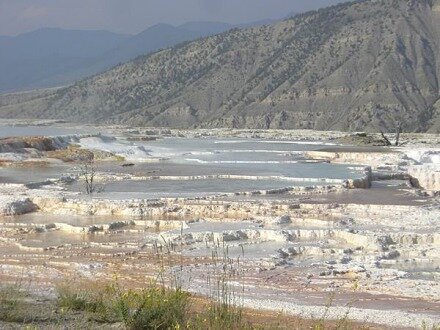 yellowstone national park wyoming etats-unis voyage aux usa en famille