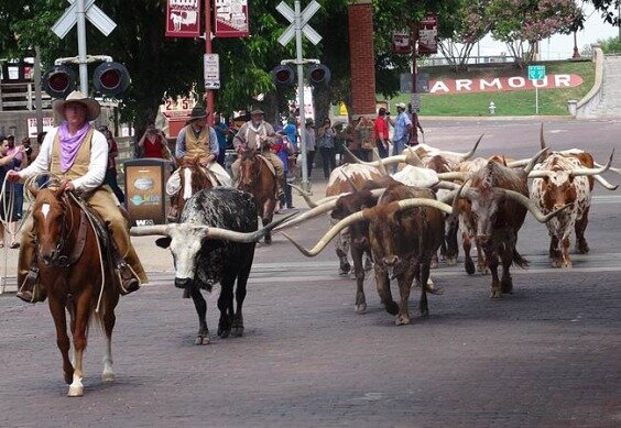 Fort Worth Stockyards aux Texas lors d'un voyage aux USA en famille