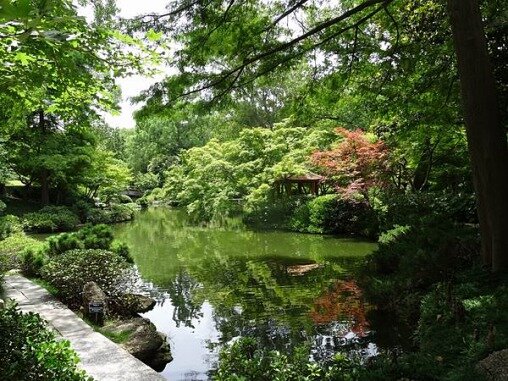 Le jardin japonais de fort worth lors d'un voyage aux USA en famille