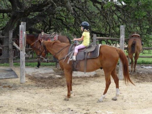 6 ans à cheval au Texas au cours d'un voyage aux USA en famille