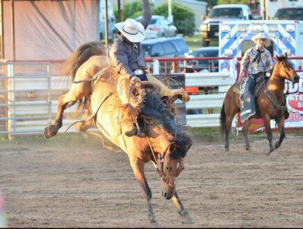 Rodeo à Bandera à suivre pendant un voyage aux USA en famille