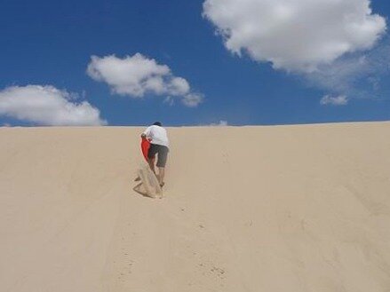 les dunes du monhahans sandhills state park au texas à monter pendant un voyage aux Etats-Unis en famill