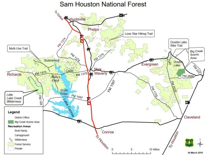 Sam houston national forest pour randonner au cours d'un voyage aux usa en famille