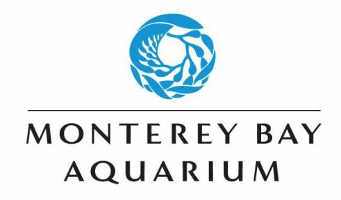 aquarium à Monterey en californie aux usa à voir au cours d'un voyage aux etats-unis en famille