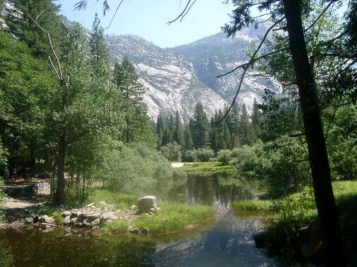 Yosemite National park en californie aux Etats-unis à voir lors d'un voyage aux usa en famille