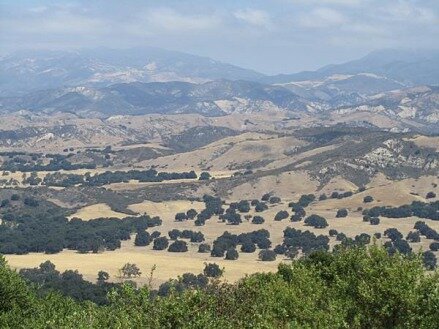 Campagne proche de Santa Barbara en californie aux USA à voir lors d'un voyage en amérique en famille