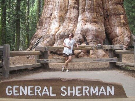 Le General Sherman à sequoia national park californie voyage aux usa en famille