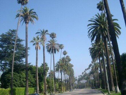 Berverly Hills à Los Angeles en Californie aux Etats-Unis à visiter lors d'un voyage en amérique en famille