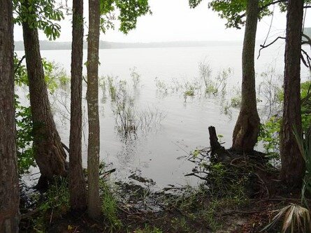 Conroe au Texas aux Etats-Unis à voir lors d'un voyage aux USA en famille pendant les vacances