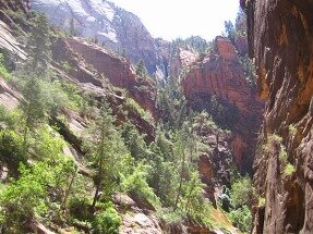 zion utah voyage aux usa en famille
