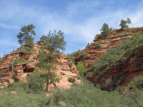 zion utah voyage aux usa en famille