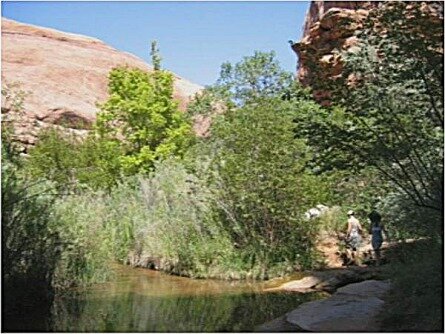negro bill canyon utah etats-unis voyage aux usa en famille