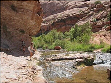 negro bill canyon utah etats-unis voyage aux usa en famille