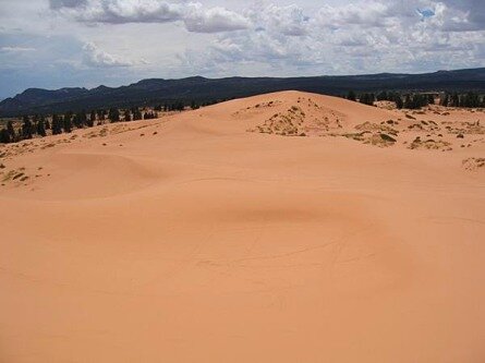 coral pink sand dunes state park utah etats-unis voyage aux usa en famille