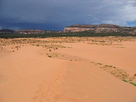coral pink sand dunes state park utah etats-unis voyage aux usa en famille